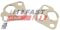 Fast FT50607 Dichtungssatz FüR Agr-System
