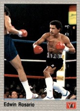 1991 AW Sports All World Boxing #33 EDWIN ROSARIO