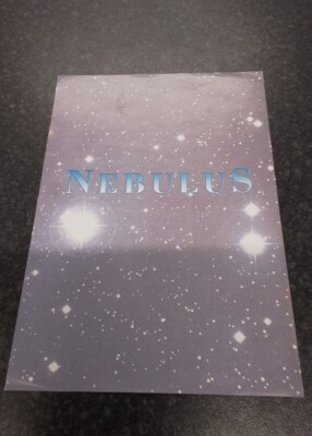 Nebulus Hastings Pier 1993 Rave Flyer A5