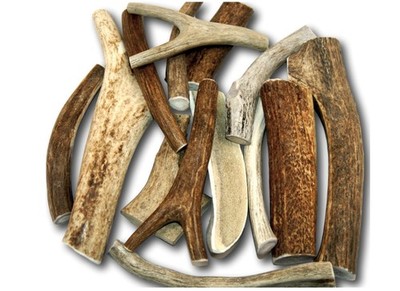 Premium Large Antler - Pound (+/- an Ounce) Variety Pack -