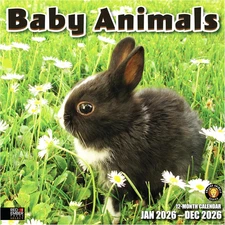 Select - Baby Animals 2026 Wall Calendar 12 Month | Thick & Sturdy Paper | Holid
