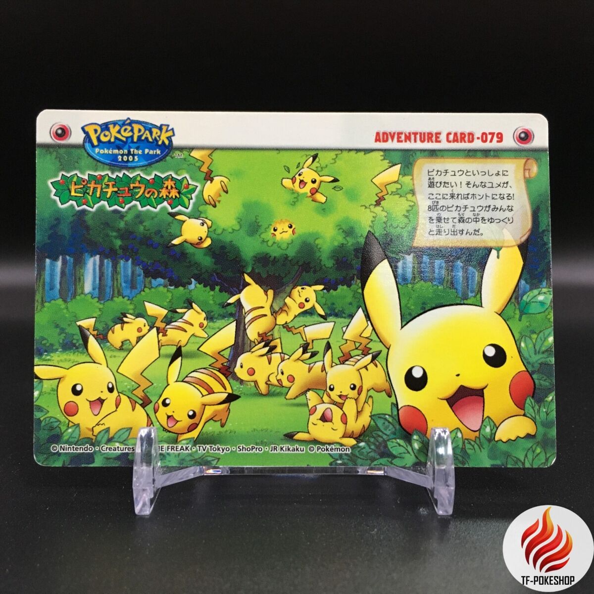 Pokemon Adventure Card 079 Pikachu forest Rare Japanese Pokemon Adventure Card 079 Pikachu forest Rare Japanese