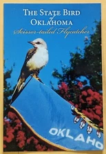 Postcard OK: The Scissor - Tailed Flycatcher - The State Bird of Oklahoma  