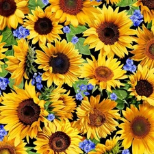 SUMMER SUNFLOWERS SUNFLOWER MEADOW ON BLACK BY MICHAEL MILLER FLORAL FABRIC HY