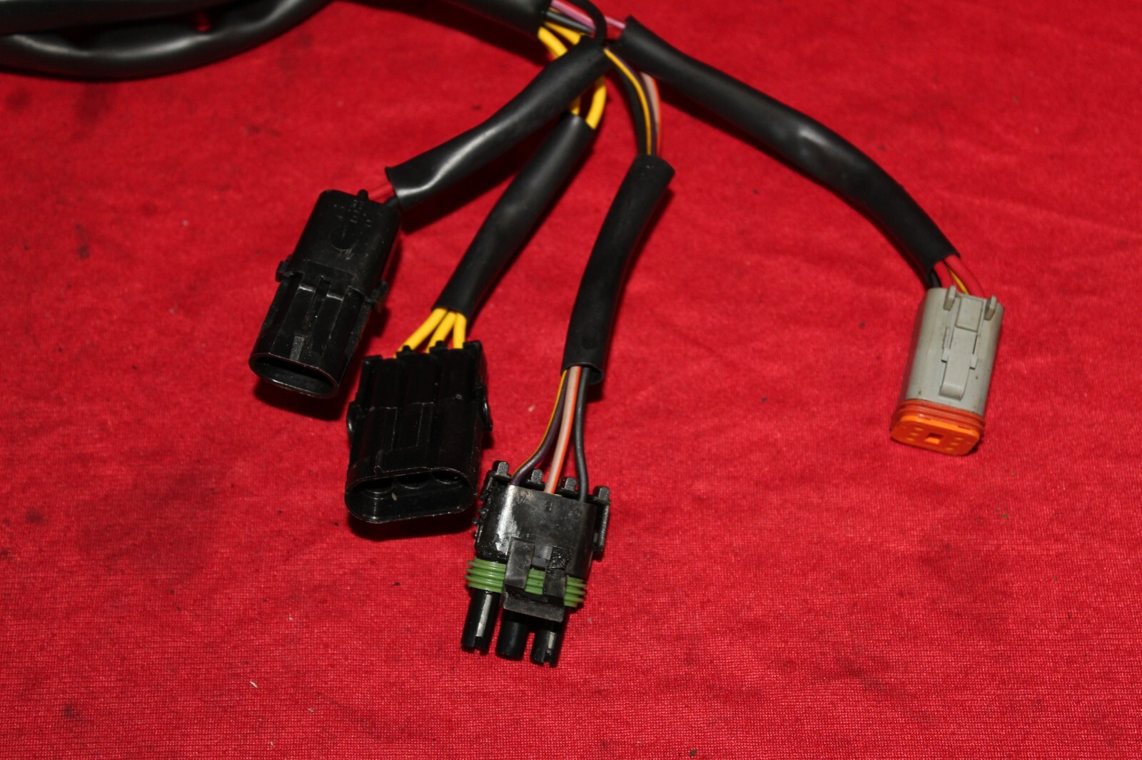 Picture 3 of 6