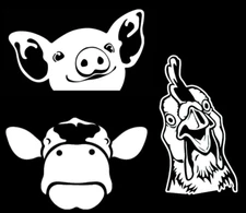 Peeking Farm Animals Cow Pig Rooster 3 PK 5" White Vinyl Decals Car Truck Window