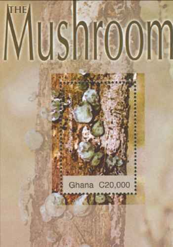 Timbre Champignons Ghana BF457 ** année 2004 lot 20652 - Picture 1 of 1