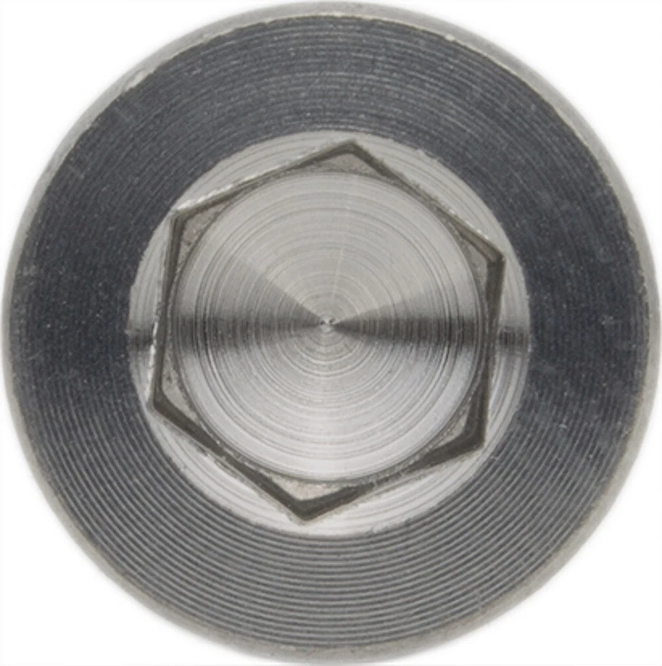 Viti Cilindro din 912 Titanio Grado 2 Brugola Ø M1 - M12, Viti IN Titanio - Immagine 3 di 4