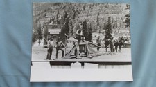 1890's Ouray Colorado Photography Studio Print Photograph-Miners & Horse Team