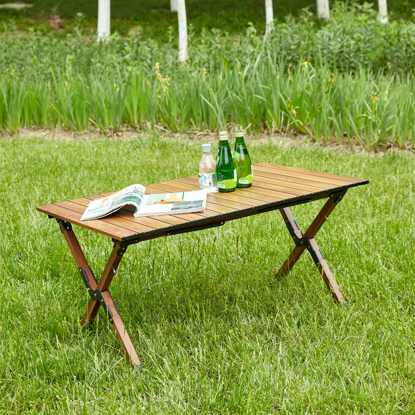 Folding Camp Table Lightweight Aluminum Roll Up Rectangular Picnic BBQ HCHI484609355615447043