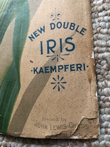 New Double IRIS Kaempferi 33"x16” As Is PRINT John Lewis Child's Floral Park, NY - Picture 3 of 15