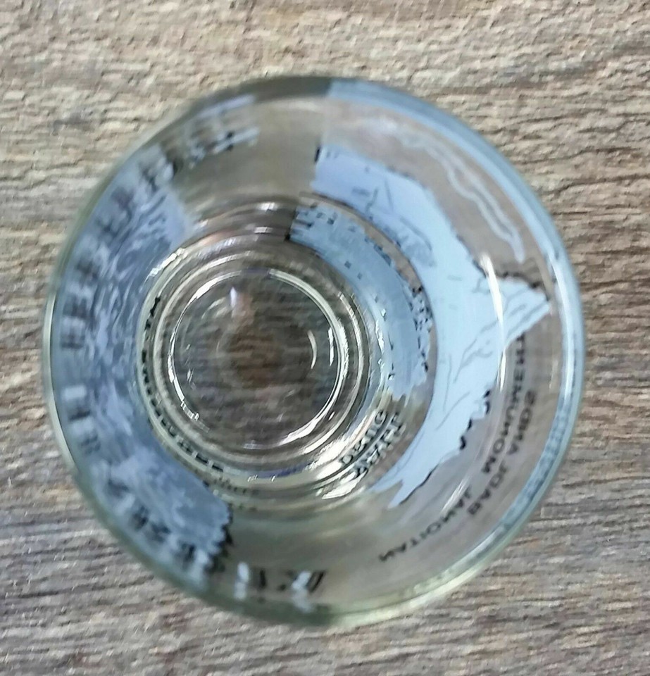 Mt. Rushmore Badlands National Monument Shot Glass South Dakota Travel