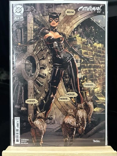 CATWOMAN #73 DC COMICS 2025 DAN PANOSIAN VARIANT