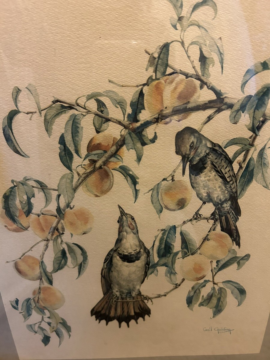 セシル・ゴールディング（Cecil Golding）プリントアート 2点セット CECIL GOLDING BIRD PRINTS NEW YORK GRAPHIC SOCIETY, 1940