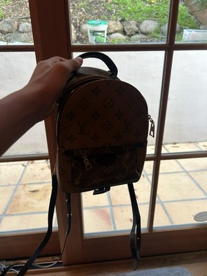 Brown Women s Louis Vuitton Mini Backpack With Bag