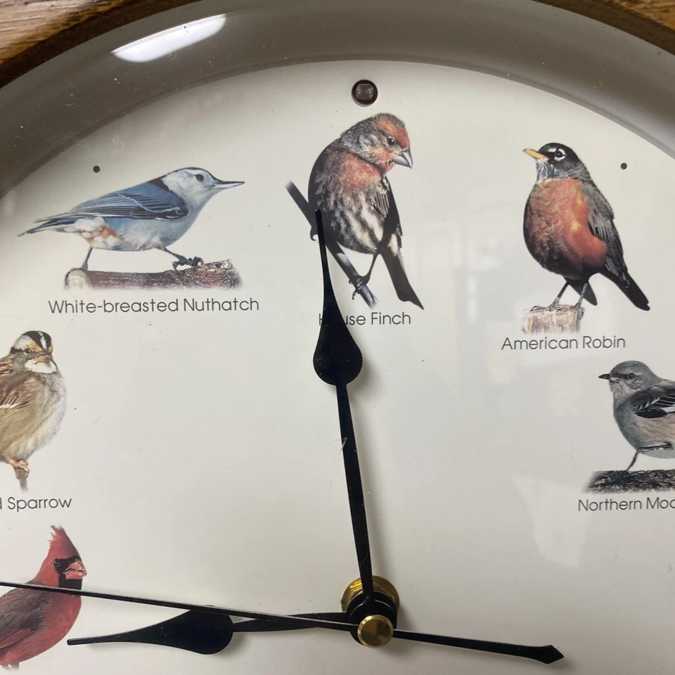 Vintage 1997 MFA Wooden Singing Bird Clock 14” - Image 2 of 4