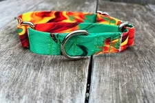1 inch wide Adjustable Martingale Dog Collar - Slip on Green and Gold Collar USA