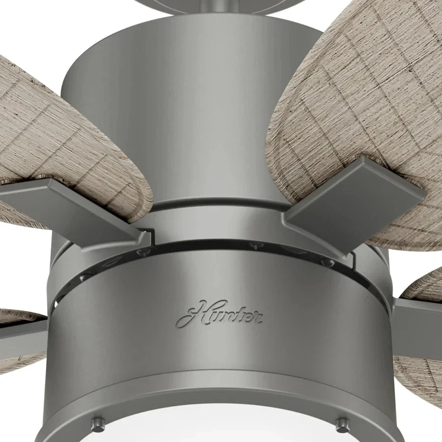 Hunter Amaryllis Model #51192 celing fans - Image 2 of 4