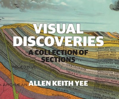 Visual Discoveries: A Collection of Sections by Allen Keith Yee (English) Paperb