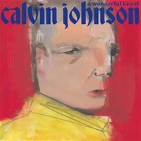 Calvin Johnson: A Wonderful Beast - 375 Media - (Cd / A)