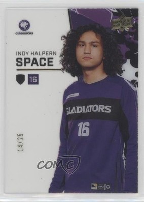 2023 Upper Deck Overwatch League Season 4 Infra-Sight Gold 14/25 Space 1b8