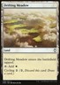 MTG Magic the Gathering Drifting Meadow (248/332) Commander Anthology 2018 NM