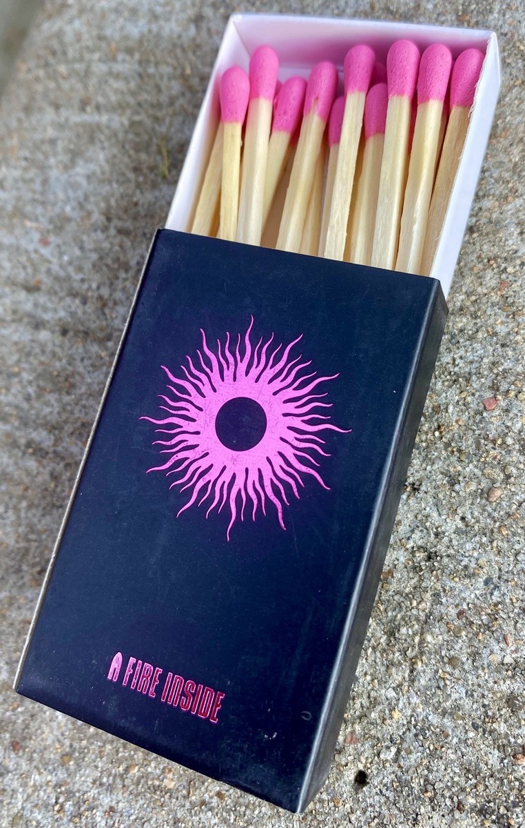 AFI A Fire Inside “Silver Bleeds The Black Sun” Promo Matches