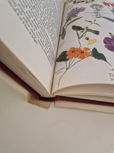 Garden Plants In Colour A.G.L Hellyer 1958 1st Ed illustrated book; Gardening - Picture 12 of 12