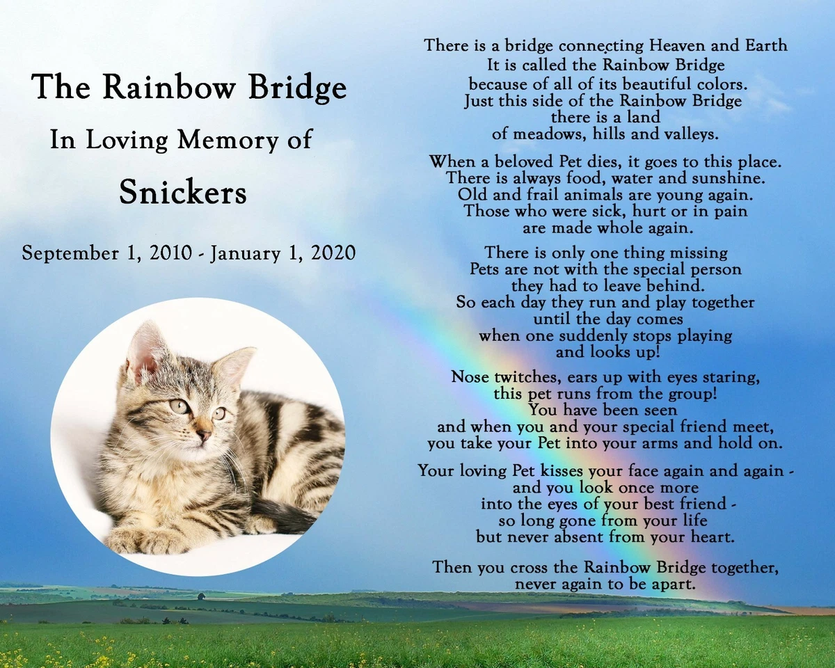 Personalized Rainbow Bridge Pet Loss Memorial Poem Dog Cat 8x10