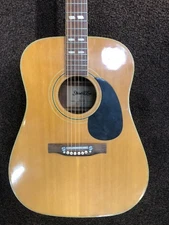 Really Cool Strad-o-lin Acoustic Guitar - LOOK at PICS! Professionally Set-up!