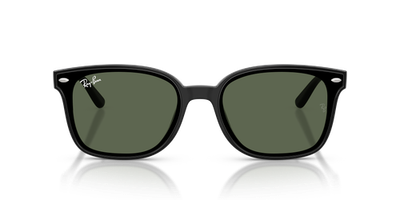 Ray-Ban RB4461D Polished Black/Dark Green 64 mm Sunglasses RB4461D Ray-Ban RB4461D Polished Black/Dark Green 64 mm Sunglasses RB4461D