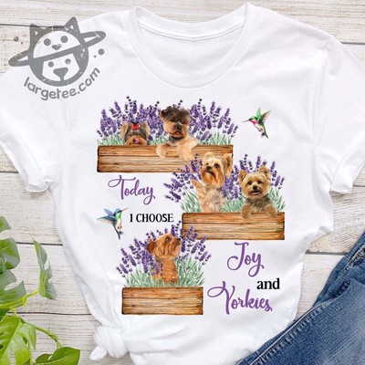 Today I choose Joy and Yorkies � Yorkies dog, dog lover