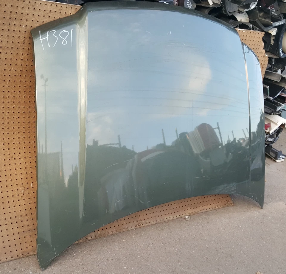 Ford Expedition 2003-2006 capó cubierta panel OEM H381 Foto 2 de 4