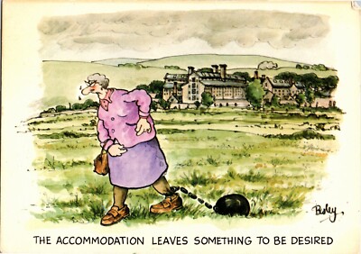Postcard The Accommodation Leaves Something to be Desired by Rupert Besley