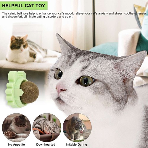 3x Drehbare Katzenminze Wandball Katze Zähne Reinigungsspielzeug Essbar Lecken Leckerli Spielzeug - Bild 8 von 12