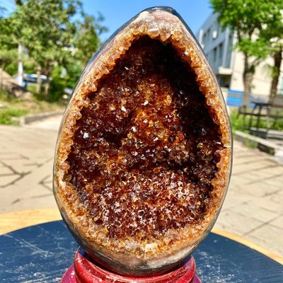 7.35LB TOP Natural citrine geode quartz cluster crystal Dinosaur egg healing