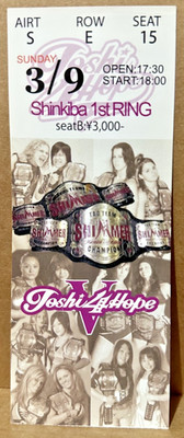 Madison Rayne Sara Del Rey Skater 3/9/2014 Joshi 4 Hope V Pro Wrestling Ticket