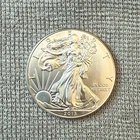 2013 American Silver Eagle 1 oz .999 Fine Silver $1 BU – In Plastic Sleeve