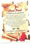 Foto 7 di 11