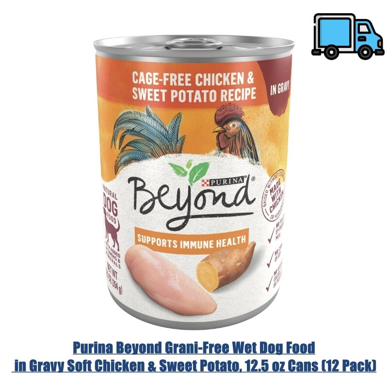 Purina Beyond Grani-Free Wet Dog Food in Gravy Soft Chicken