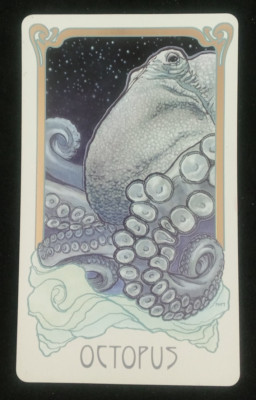 Dreamscape Oracle by Matt Hughes Single Card Octopus 5'' X 3''