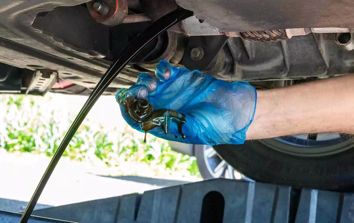 A backyard mechanic wearing blue nitrile gloves holding the oil drain bolt while oil drains from the oil pan.