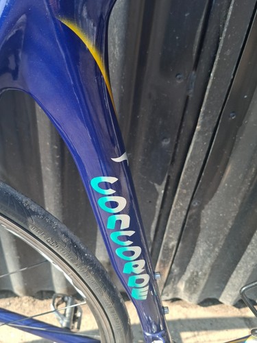 Retro Carbon Fibre Racing Frame Concorde Dura Ace Accessory Dimension 62 cm - Picture 17 of 19