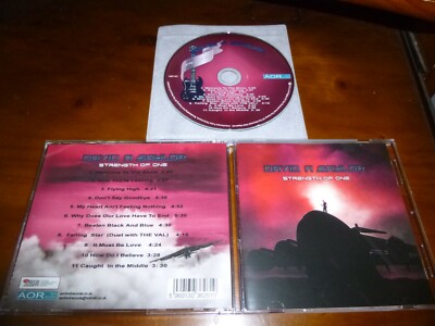 David A. Saylor Strength of Oneメロディアスハード SAYLOR,DAVID A