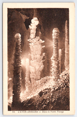 Vtg Postcard L'Aven-Armand Dans la Foret Vierge France