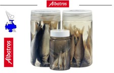 Albatros Tote Köderfische im Glas - Dead Bai...