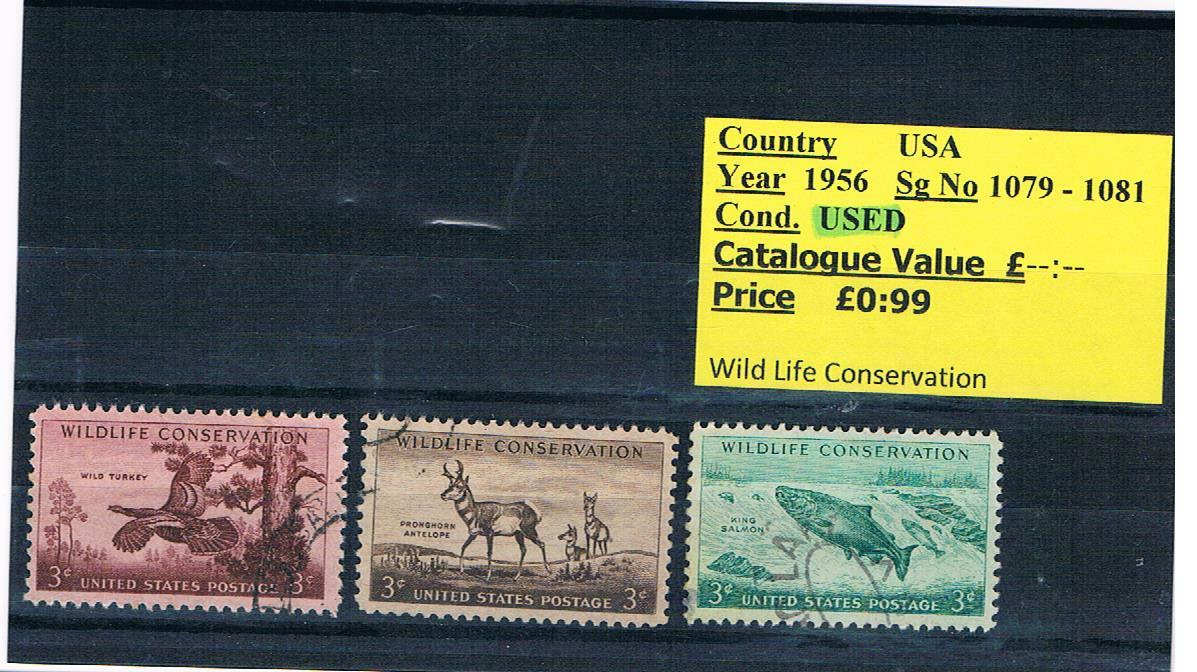 Picture 93 of 125