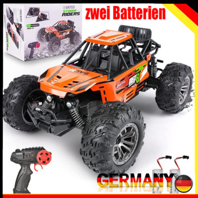 2.4 GHz RC Ferngesteuertes Auto 15 km/h High Speed 2WD 1:16 RC CAR Off-Road NEW