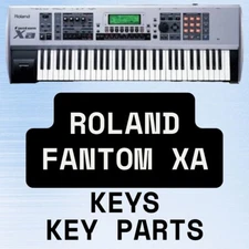 Roland Fantom Xa Synthesizer Style 02U Replacement Key & Return Springs