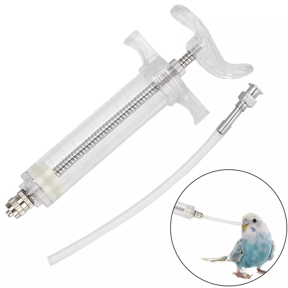 Parrot top feeding syringe